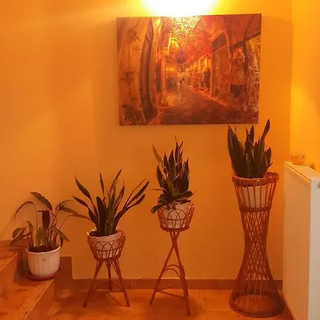 Avoca * Pyrzowice
